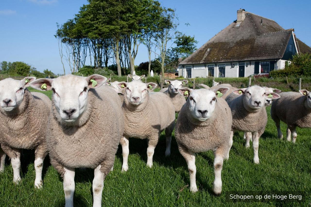 Vakantiepark De Krim Texel De Cocksdorp  Eksteriør billede